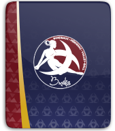 Bordeaux Mérignac Volley thumbnail