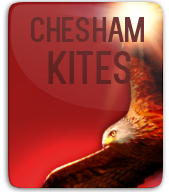 Chesham Kites thumbnail
