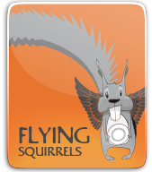 Flying squirrels thumbnail