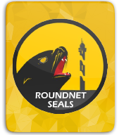 Roundnet Oostende thumbnail