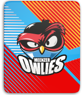 Roundnet Verein Mainz thumbnail